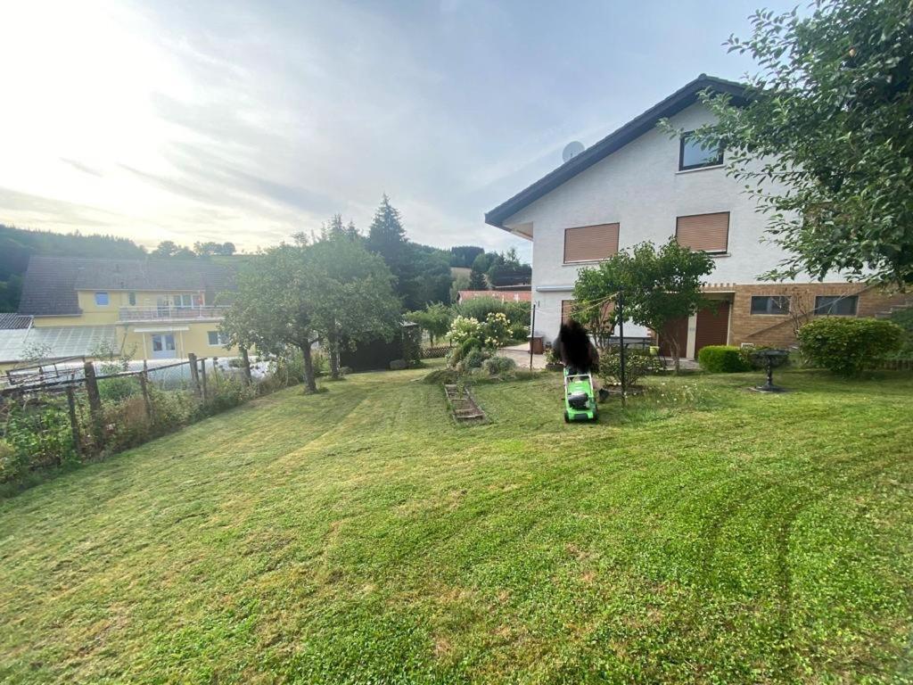 Ferien- Und Monteurwohnung Zum Waldblick Eksteriør billede